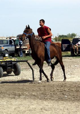 Bareback rider