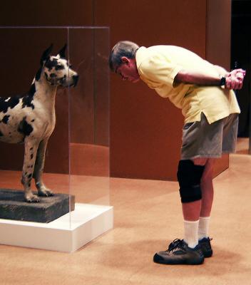 Cecil greets newcomers near the ticket desk (Originally the mascot of The Factory)