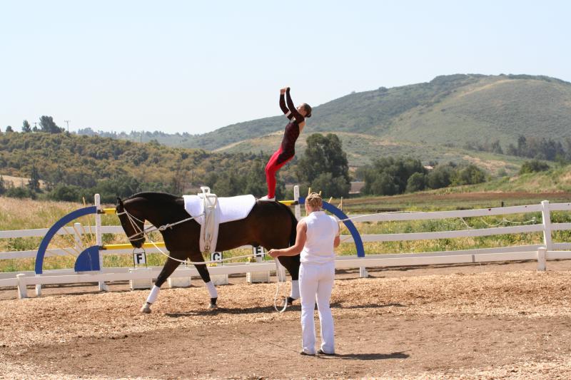 Mari I. Dismount