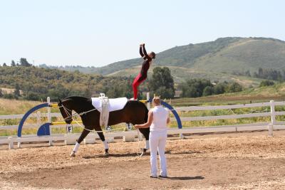 Mari I. Dismount
