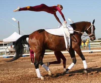 The Full Flank Dismount