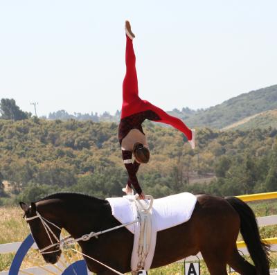 The Cartwheel
