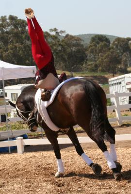 Shoulder Stand