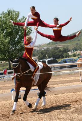Split Jumps and dismount