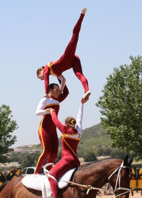 Needle hand stand