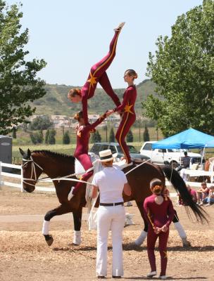 Needle in the air