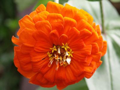 PICT0230a 8X6.JPG