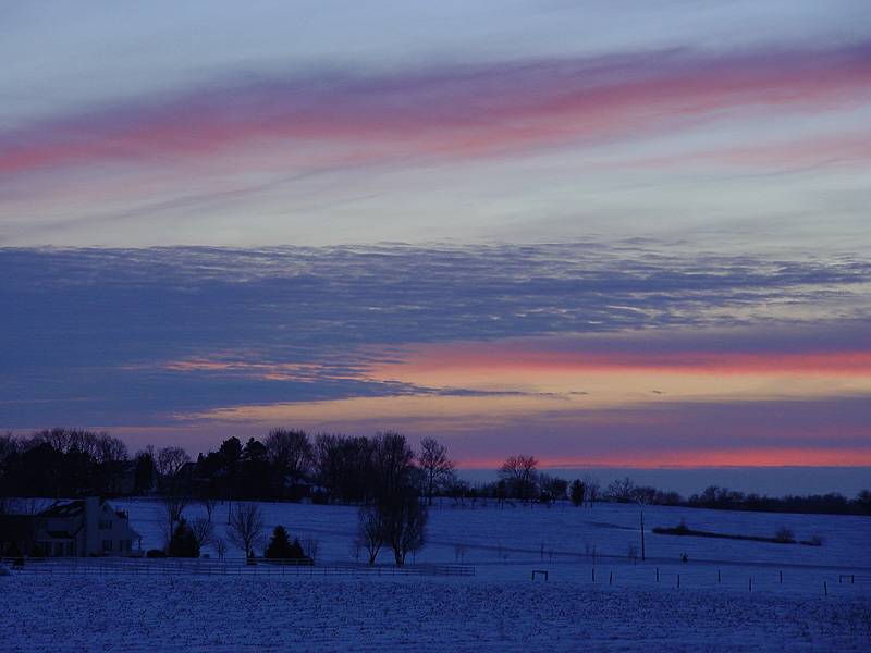 January 23, 2005<br><font size=2>Stars and Stripes</font><br>Day 262