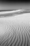 <b>3rd Place</b><br>Up The Dunes