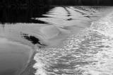 WakeScape (*)<br> by Ann Chaikin