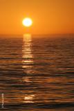 Path Of Gold<br>by Markjay