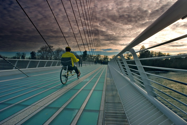 <b>5th Place (tie)</b><br>Riding into the Future<br>by Cindy D