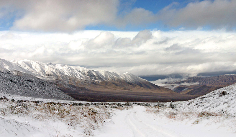 snowscape *