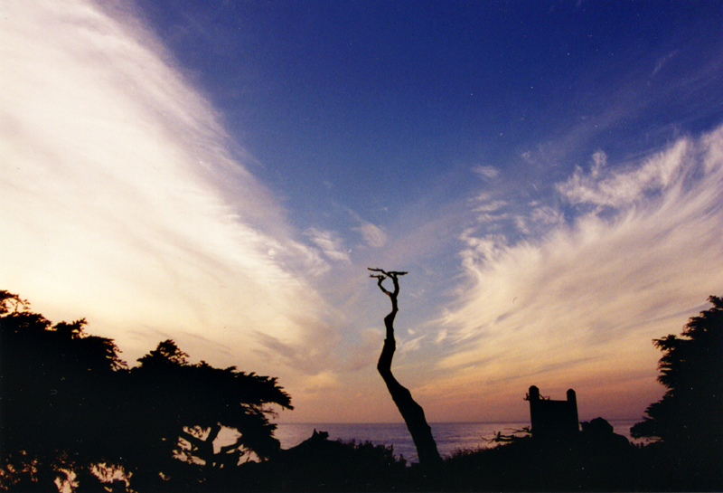 Monterey