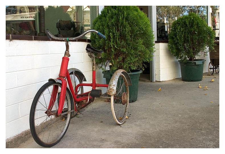 The Tricycle *