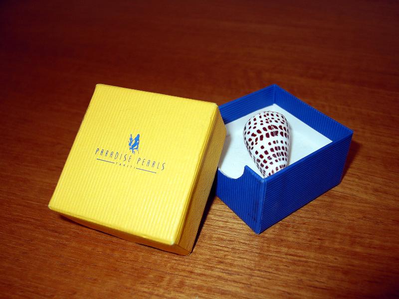 shell box.jpg