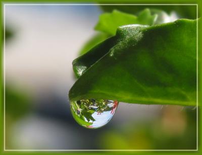 Raindrop II
