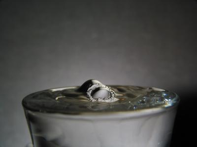 Water Worm