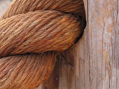 Wood and Rope