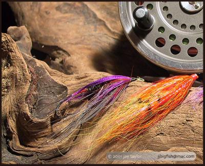 Steelhead Tools