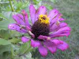 IMG_1469_2.jpg