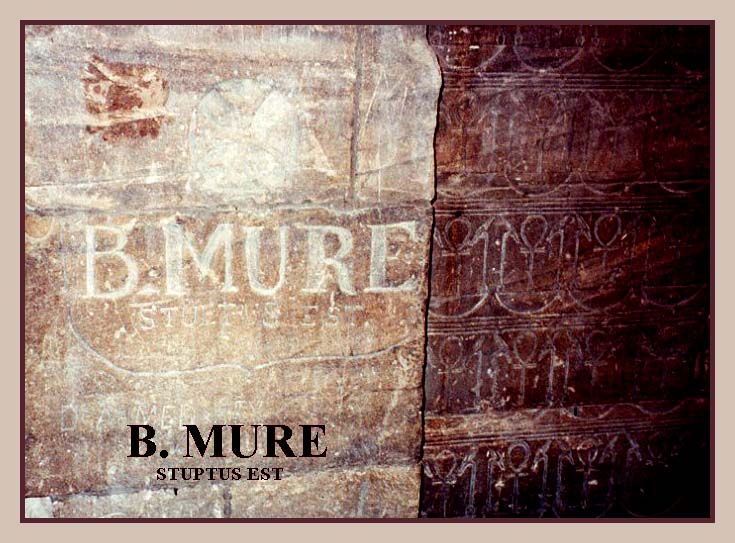 B. Mure is stupid
