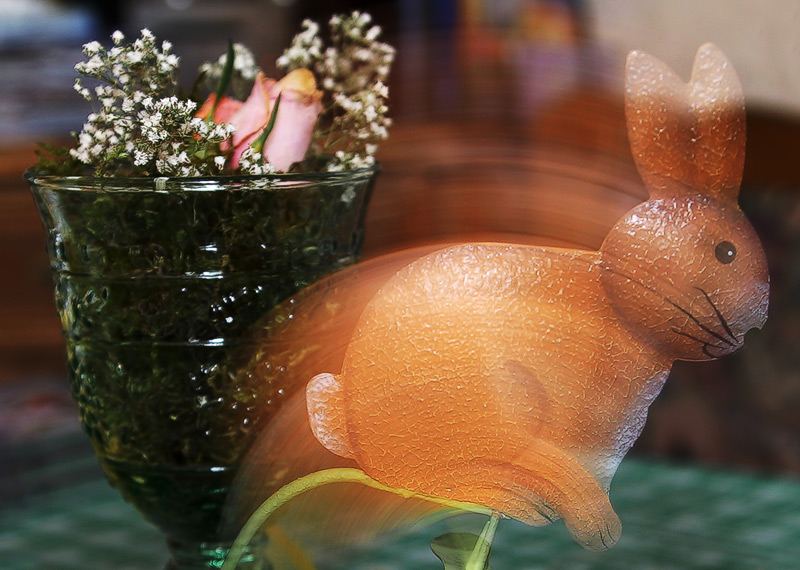 Run, rabbit run*