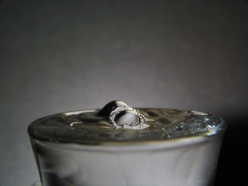 Water Worm