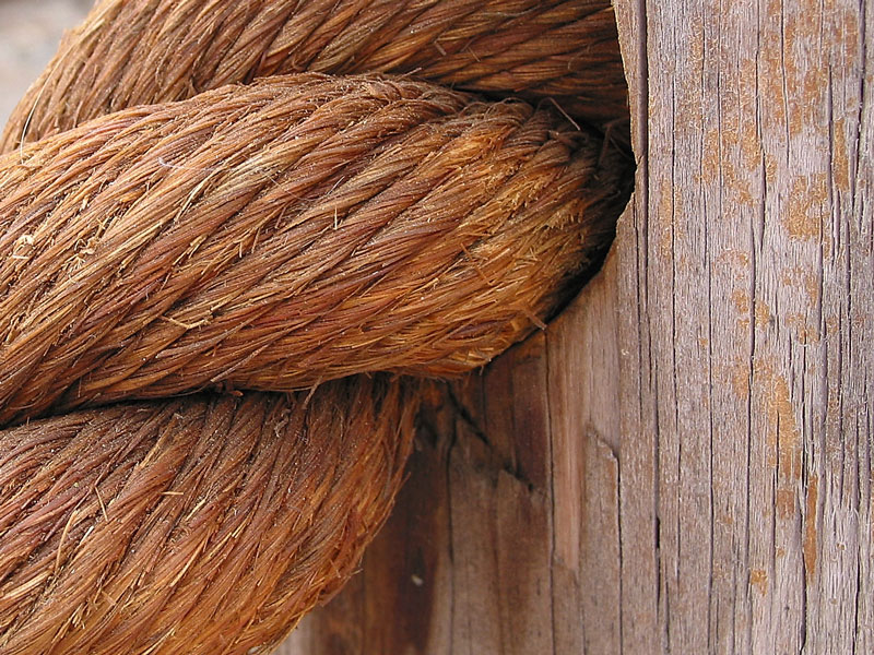 Wood and Rope