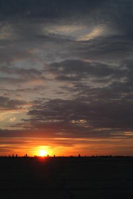 DSCF1135_1.jpg