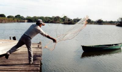Catching dinner.