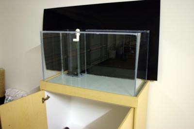 newtank3.jpg