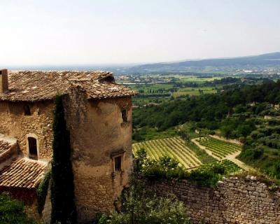 provence23.jpg