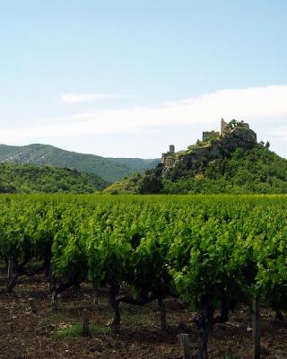 provence48.jpg
