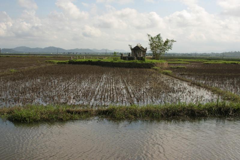 Country Side