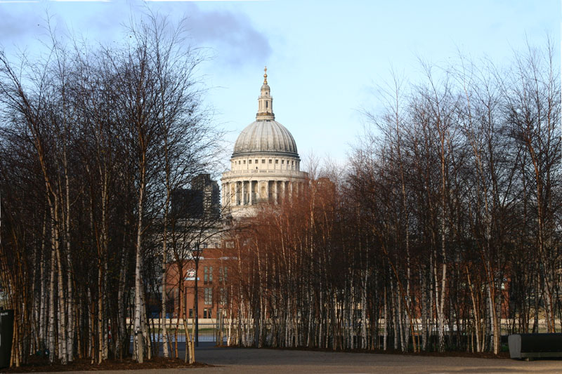 SAINT PAULS