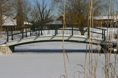 IMG_0008.JPG