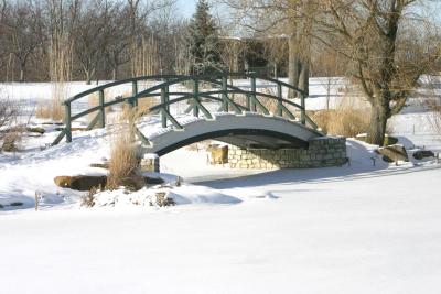IMG_0011.JPG