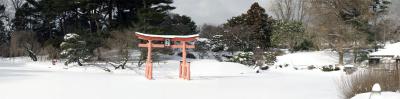 Brooklyn Botanic Garden