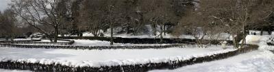 Brooklyn Botanic Garden