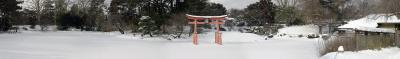 Brooklyn Botanic Garden