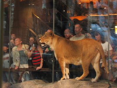 IMG_5960CE.jpg