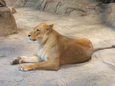 IMG_5976CE.jpg