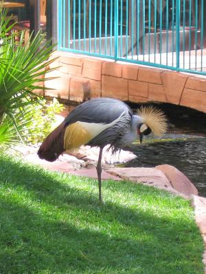 IMG_5985E.jpg