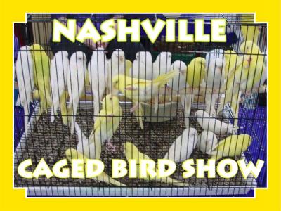 Nashville Caged Bird Show