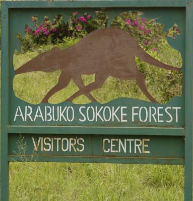 u16/deseml/medium/7744078.SkokieForestsign4753.jpg