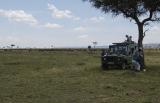 Lunch among the Wildebeest