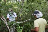 Trek through Sokokie forest