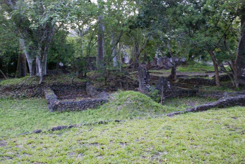 Gedi Ruins