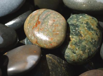 wet_rocks.jpg